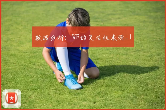 数据分析：WE的灵活性表现_1