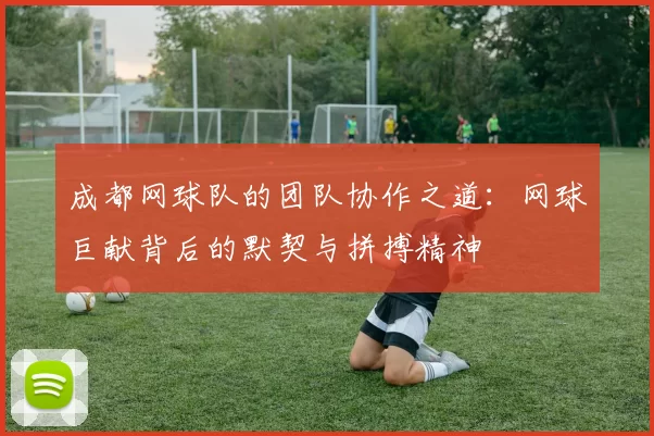 成都网球队的团队协作之道：网球巨献背后的默契与拼搏精神